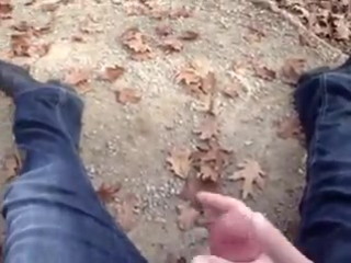 jerking off with tits and handles in the park until the guy cum hd 720, homemade, teen, blowjob, cum in mouth (1)