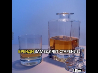 useful properties of alcohol. vodka, cognac, whiskey, brandy, rum,